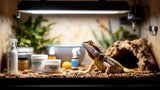 Reptiliengesundheit – Zubehör und Pflegeprodukte für gesunde Reptilien