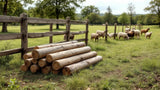 Robinienpfähle aus robustem Holz für Gartenbau und Zaunbau