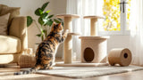 Kratzmöbel für Katzen zur Krallenpflege und zum Spielen