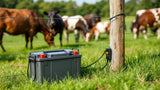 Weidezaun Batterie für Elektrozaun, langlebige Energiequelle für Weidezaungeräte