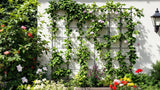 Rankgitter aus Metall für den Garten