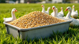 Gänsefutter in hochwertiger Qualität für artgerechte Gänseernährung