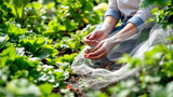 Alt-Attribute: Schädlingsbekämpfung im Garten – effektive Mittel und Lösungen gegen Gartenschädlinge