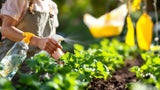 Insektenschutzmittel Produktabbildung für effektiven Schutz vor Insekten