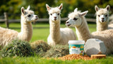 Lamafutter hochwertig für gesunde Ernährung von Lamas