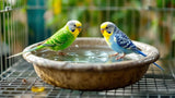 Vogelbad aus hochwertigem Material für den Garten, dekoratives Vogelbecken zur Vogeltränke