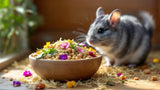 Chinchillafutter in hochwertiger Qualität für gesunde Ernährung von Chinchillas