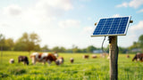 Solarmodul für Weidezaun zur umweltfreundlichen Stromversorgung