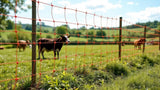 Kombi-Netze für Tiere aus robustem Material, wetterfest und langlebig