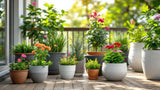 Außentöpfe für Garten und Balkon aus hochwertigem Material