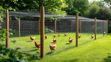 Hühnerzaun aus robustem Drahtgeflecht für sicheren Geflügelschutz im Garten