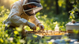 Milbenbekämpfungsmittel für Bienen zur effektiven Varroa-Bekämpfung