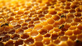 Bienenwachs Gewinnung: Imker kratzt frisches Bienenwachs von Honigwabe
