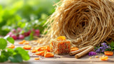 Snacks für Degus – gesunde Leckerlis für Nager