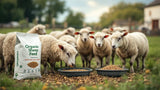 Bio Schaffutter im Sack – nachhaltiges Schaffutter aus biologischer Landwirtschaft