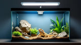 UVB-Beleuchtung für Terrarium zur optimalen Versorgung von Reptilien