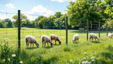 Elektrozaun-Netz für Weiden und Tiere, robustes elektrisches Zaunnetz zur sicheren Einzäunung