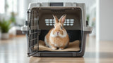 Kaninchen Transportbox aus robustem Kunststoff mit Belüftungsschlitzen und sicherem Verschluss