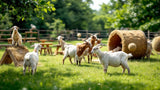 Ziegen Beschäftigungsspielzeug für artgerechte Tierbeschäftigung
