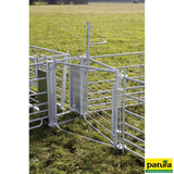 2-Wege-Sortiertor, für Schaf-Fanganlagen mit Bedienhebel, vz.