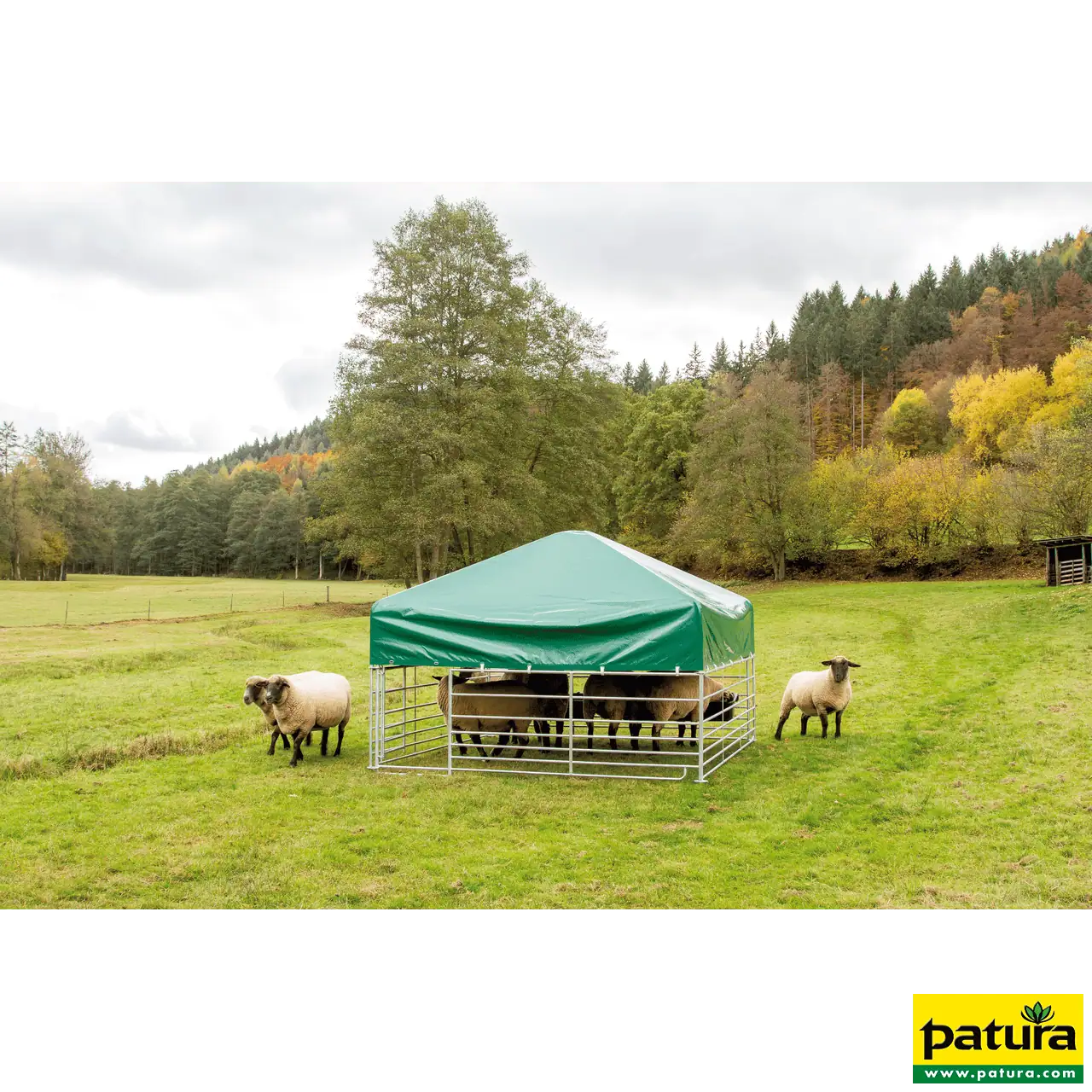 Steckfix-Dach 2,75 m x 2,75 m