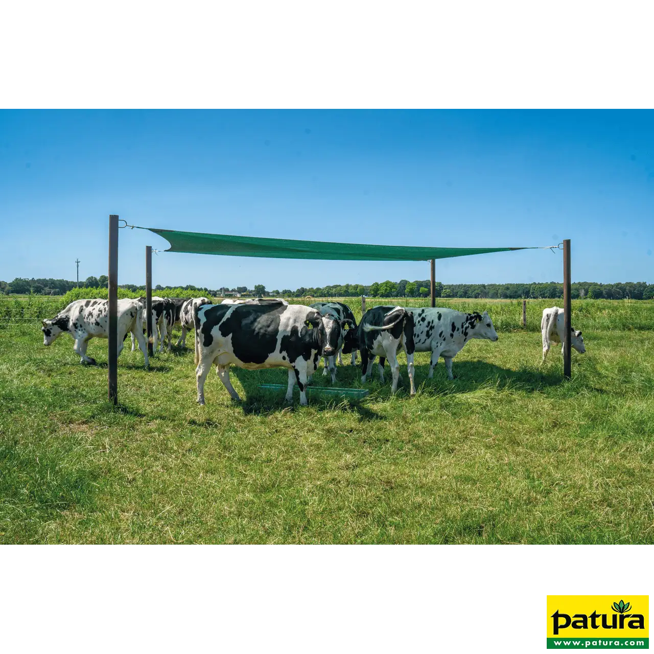 Beschattungsnetz 6,0 x 4,0 m Spezialnetz M75 grün