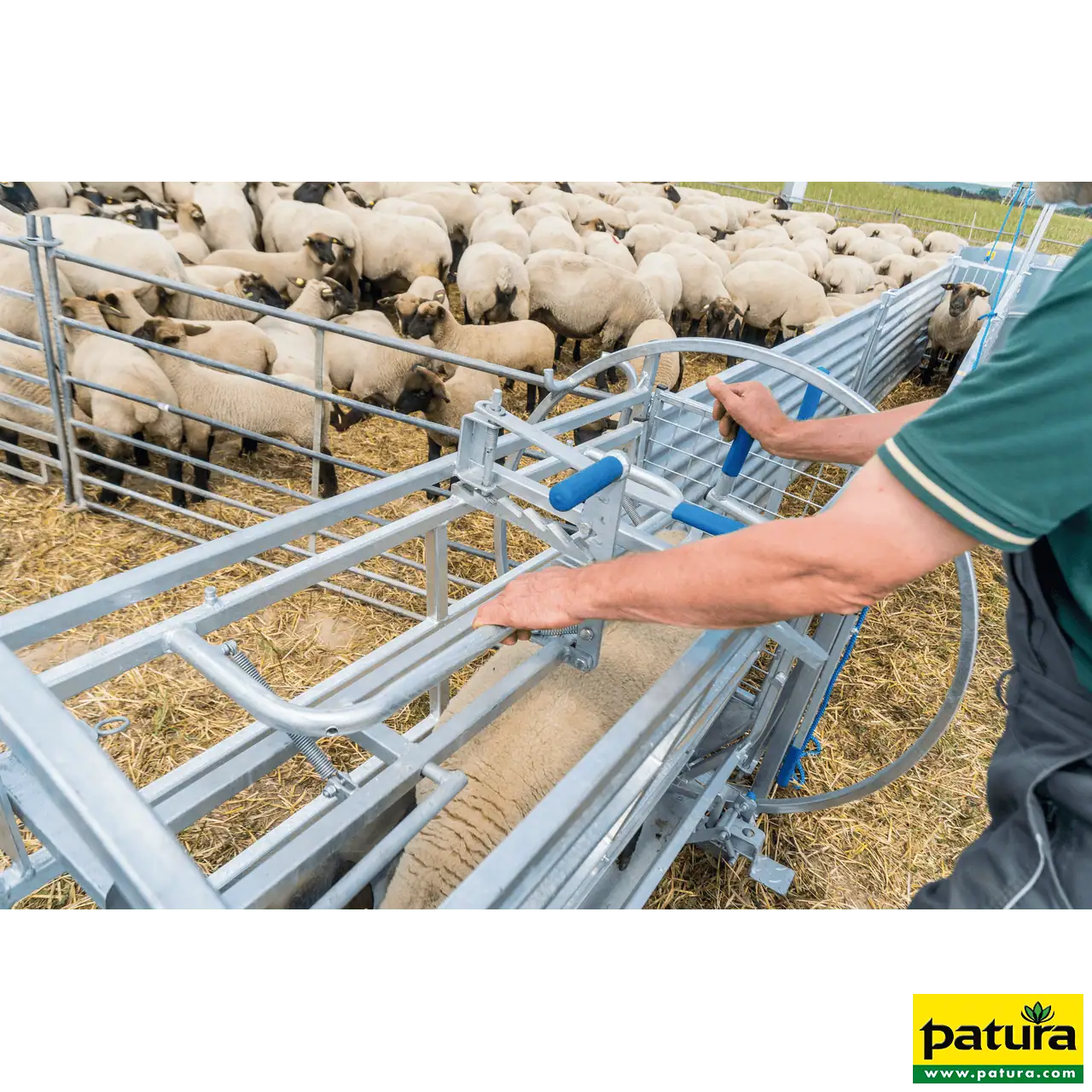 Wendebox für Schafe verzinkt, inkl. Fahrwerk