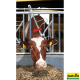 Sicherheits-Selbstfangfressgitter SSV 1/1, 1 Platz, 1 m