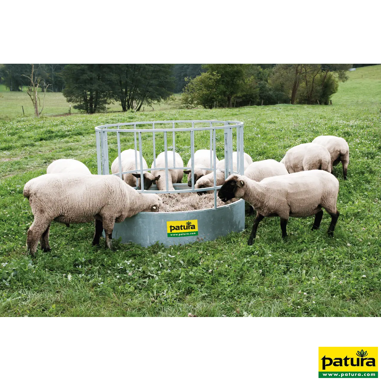 Rundraufe für Schafe, 20 Plätze verzinkt, 2-teilig