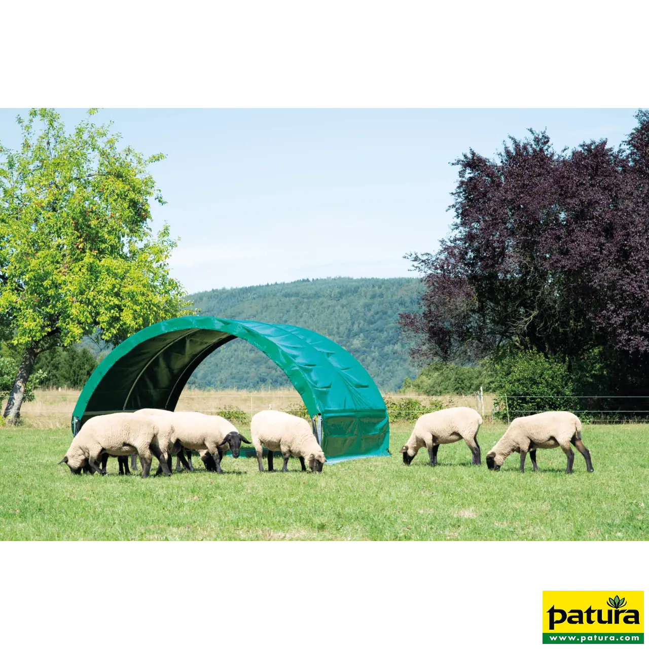 Kleintierzelt 6,00 x 3,60 m