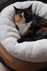 AFP Katzenbett Donut, Plüsch, Beige, 45 x 45 x 25 cm