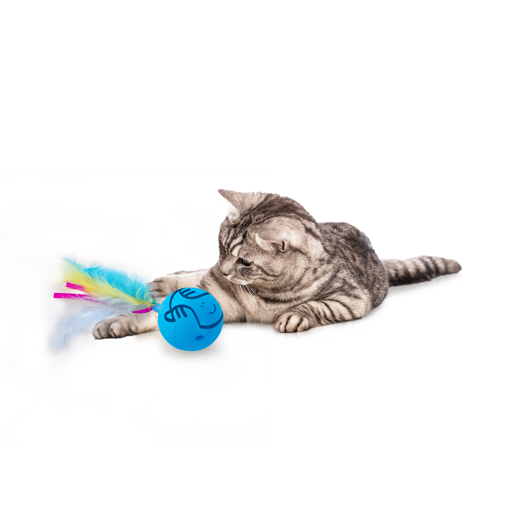 AFP Katzenspielzeug Dizzy Spinner, mit Federn, batteriebetrieben