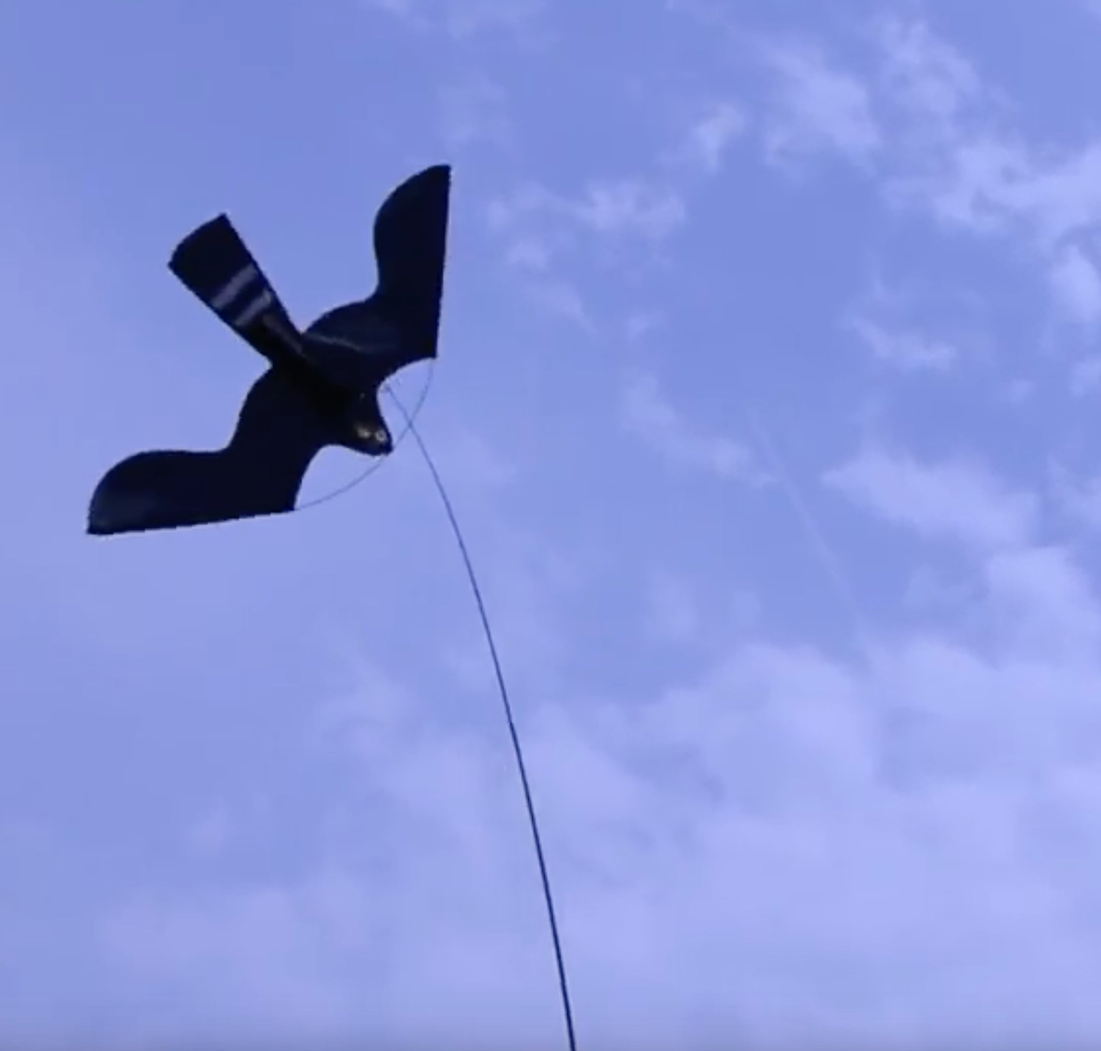 Birdshield Vogelabwehr Set, Teleskopstab 7 m, für Felder, Obstplantagen, Dächer, Parkplätze