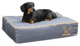 Bodyguard Hundebett Royal, grau, S, 65 x 50 cm