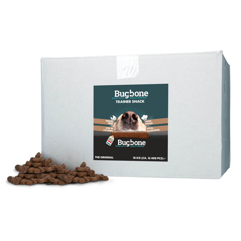 Bugbone Trainer Snack, Insektenprotein, getreidefrei, hypoallergen, Hund, 10 kg