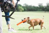 Chuckit! Air Fetch Stick, Weichgummi, 31 cm
