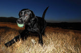 Chuckit! Max Glow Ball, S, Ø 5 cm