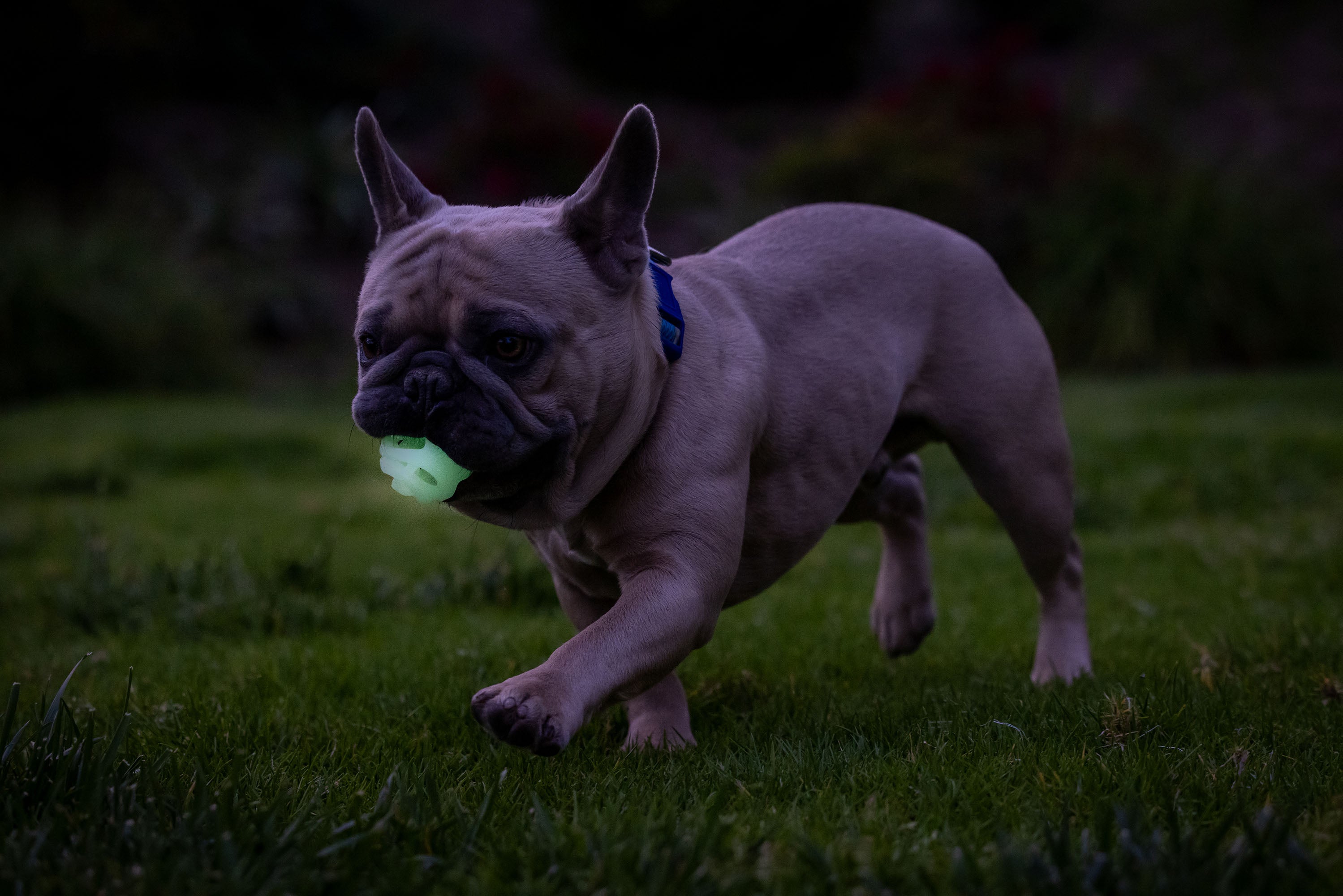 Chuckit Air Glow Fetch Ball, S, Ø 4,5 cm, 2 Stk