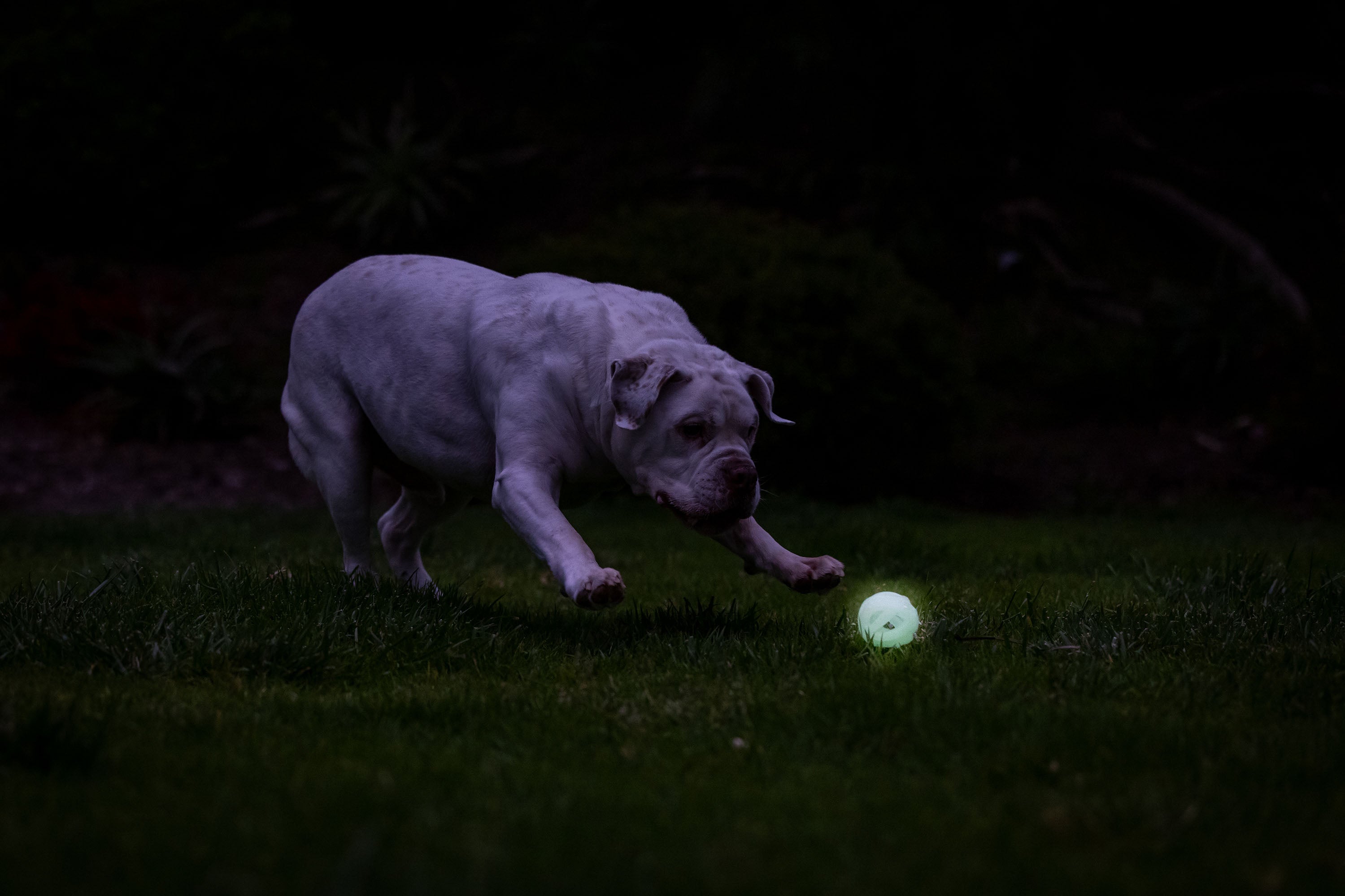 Chuckit Air Glow Fetch Ball, Ø 6 cm