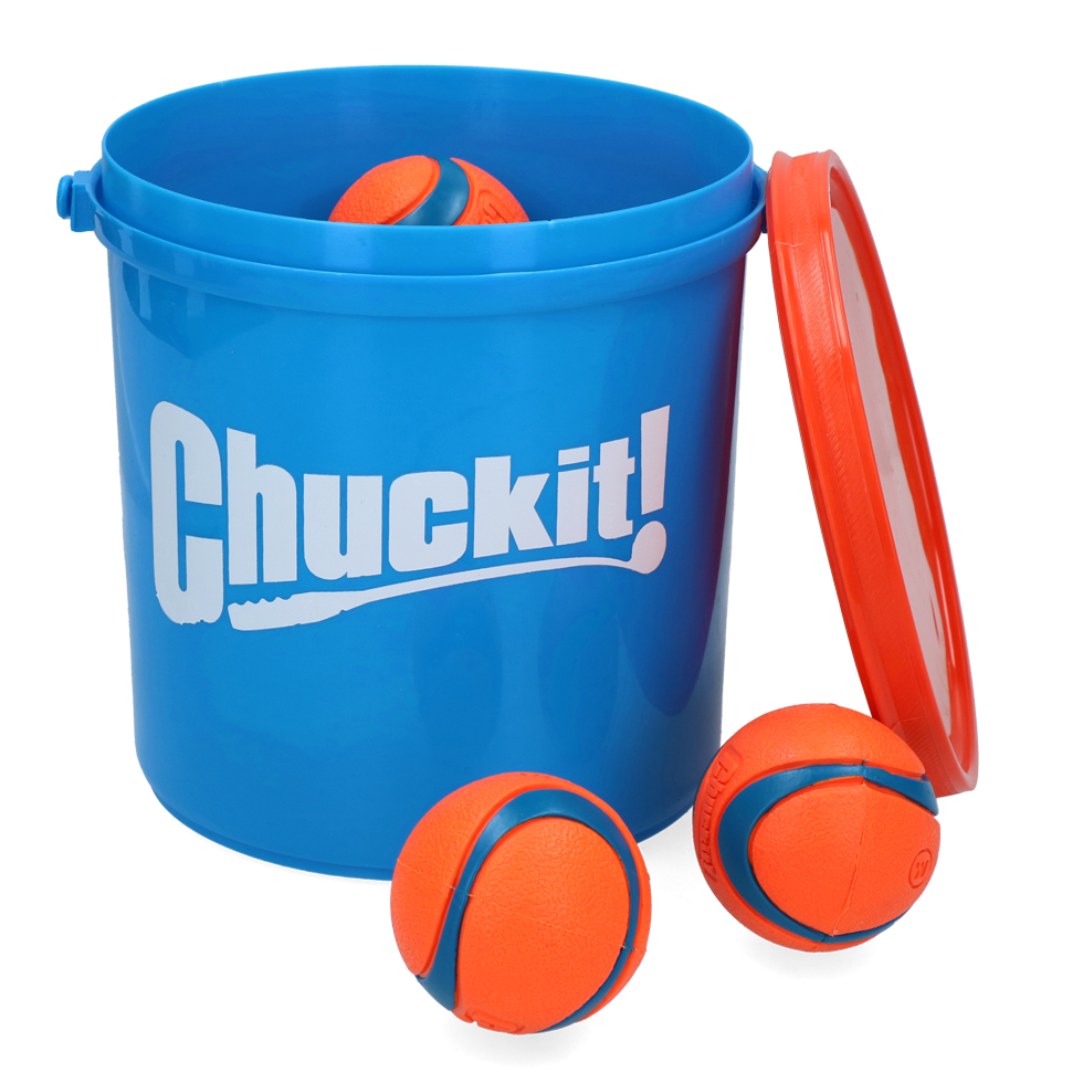 Chuckit! Eimer mit 8 Bällen, Größe M