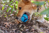 Chuckit! Hundespielball, Sniff Fetch, Bacon, Erdnussbutter, Größe M, 4 Stk