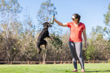 Chuckit! Hundespielball, Sniff Fetch, Bacon, Erdnussbutter, Größe M, 4 Stk