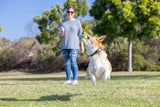 Chuckit! Hundespielball, Sniff Fetch, Bacon, Erdnussbutter, Größe M, 4 Stk