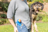 Chuckit! Ballwerfer Fetch & Fold Mini, faltbar, 26-46 cm, inkl. Ball