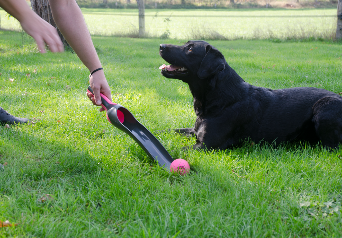 Dog Comets Ball Launcher, Länge 58 cm, für Bälle bis Ø 6 cm, rosa