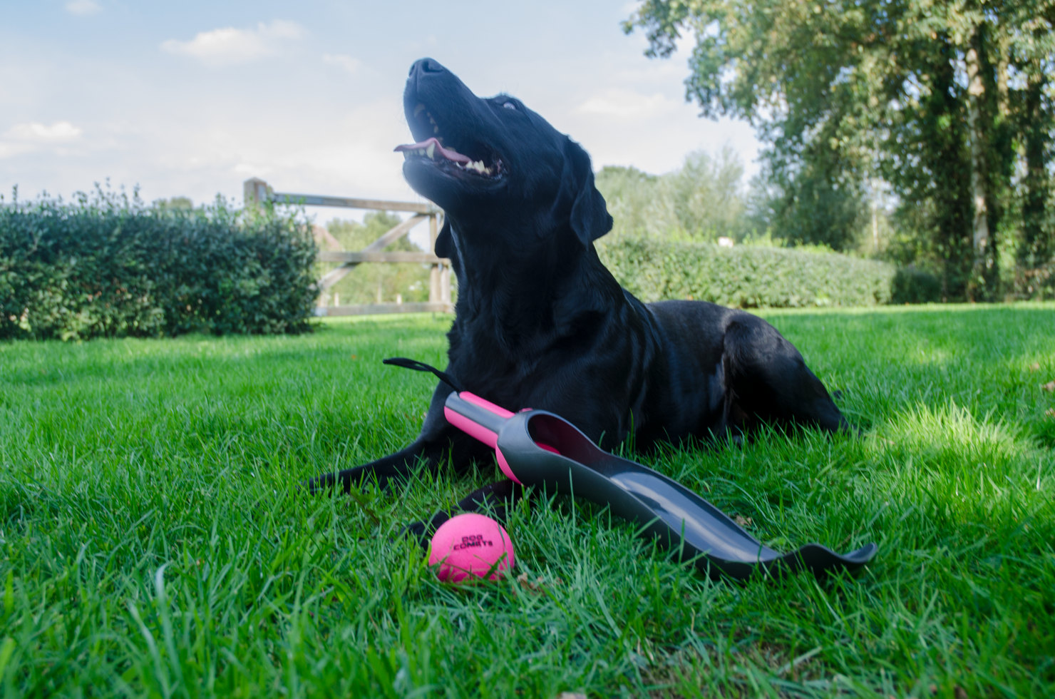 Dog Comets Ball Launcher, Länge 58 cm, für Bälle bis Ø 6 cm, rosa
