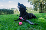 Dog Comets Ball Launcher, Länge 58 cm, für Bälle bis Ø 6 cm, rosa