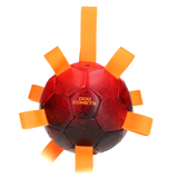 Dog Comets Hypernova Hundespielball