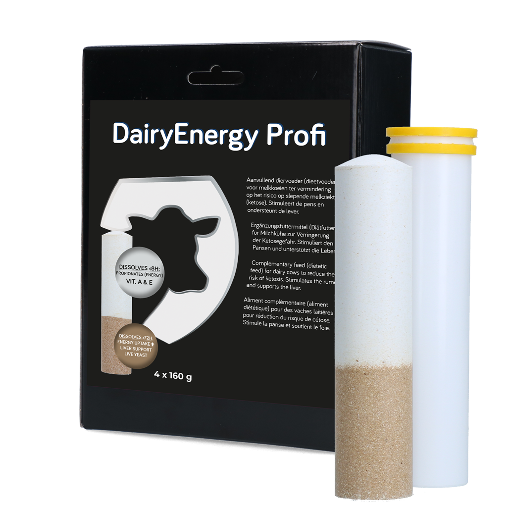 Holland Animal Care DairyEnergy Profi Bolus, Milchkühe, Ketoseprophylaxe, 4 x 160 g