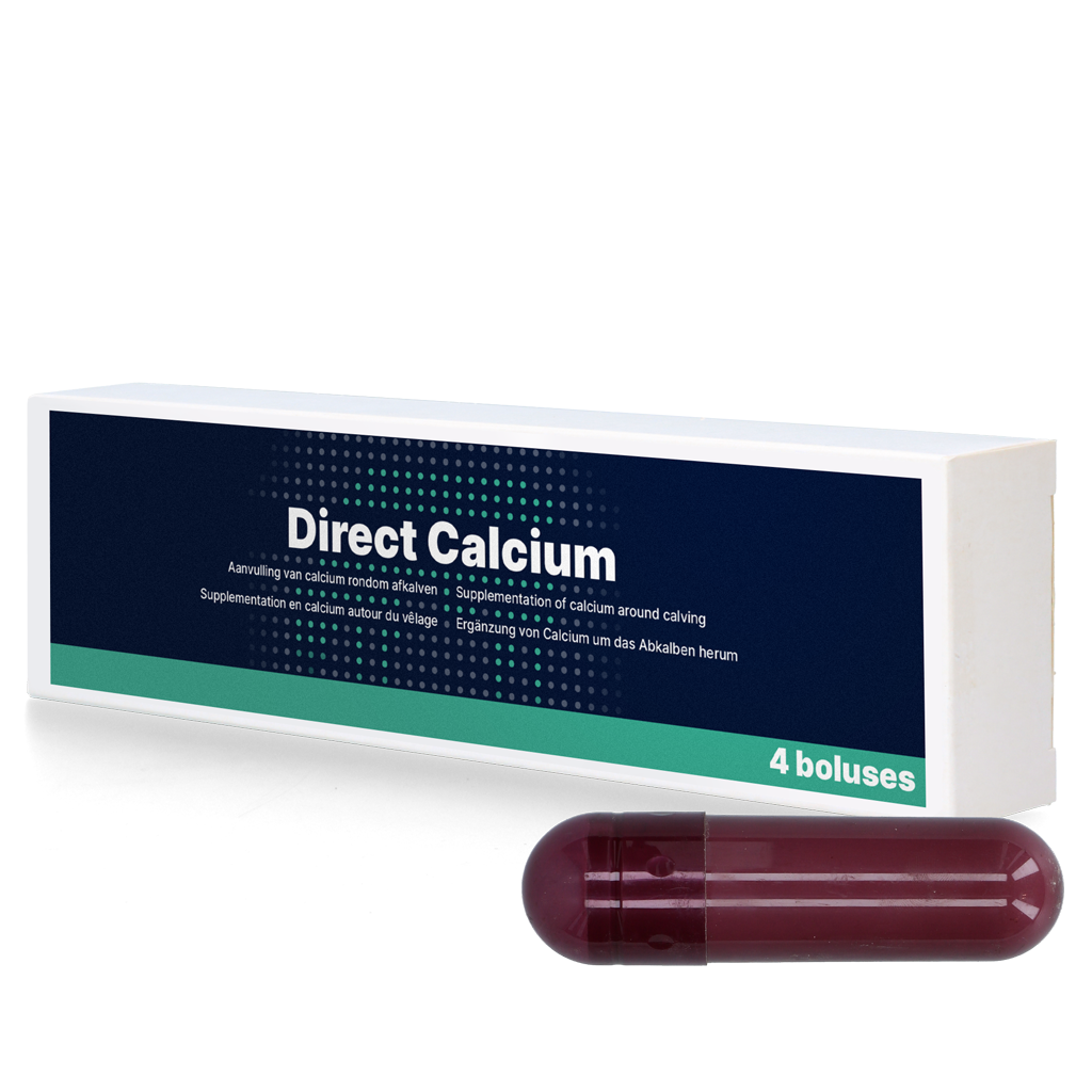 Calcium Bolus, Milchkühe, Kalbephase, 4 x 94 g